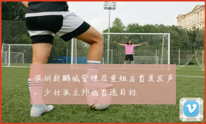 深圳新鹏城管理层重组后首度发声,少壮派主帅成首选目标