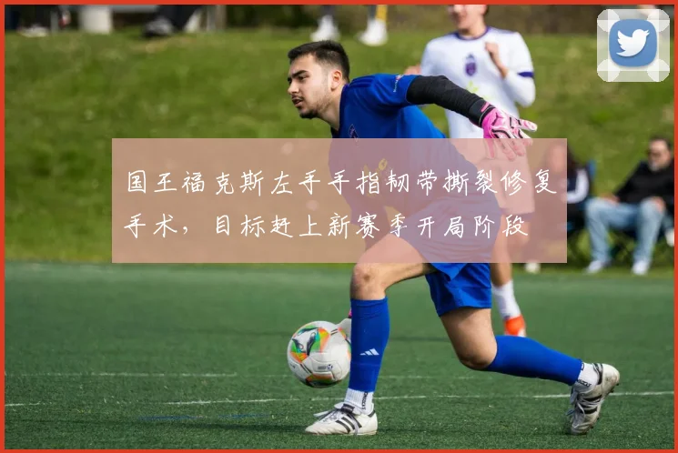 国王福克斯左手手指韧带撕裂修复手术，目标赶上新赛季开局阶段